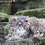 Sean Weimann Profile Picture