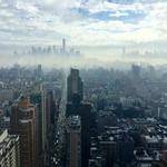 Naomi Herzog Profile Picture