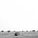 Eugene Gerhold Profile Picture