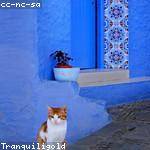 Lura Prosacco Profile Picture