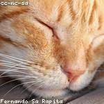 Forest Johns Profile Picture