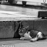 Raymond Wilkinson Profile Picture