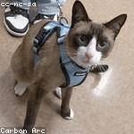 Emery Schulist Profile Picture