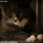 Velva Morar Profile Picture