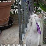 Ambrose Turner Profile Picture