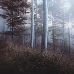 Conner Von Profile Picture