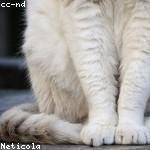 Burnice Graham Profile Picture