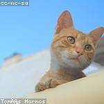 Jan Conroy Profile Picture