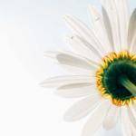 Werner Becker Profile Picture