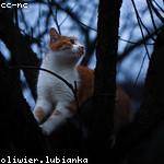 Kassandra Torp Profile Picture