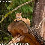 Queenie Beahan Profile Picture