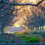 Aletha Watsica Profile Picture