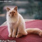 Kailey Greenfelder Profile Picture