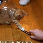 Chet Padberg Profile Picture