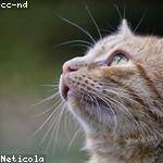 Tremayne Langworth Profile Picture