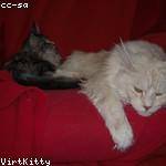 Javonte Bode Profile Picture