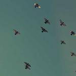 Orie Daugherty Profile Picture