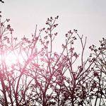 Keven Hilpert Profile Picture