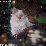 Adrienne Terry Profile Picture