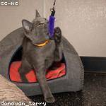 Archibald Terry Profile Picture