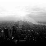 Stan Murphy Profile Picture