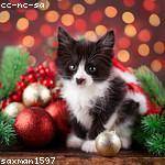 Zoe Ankunding Profile Picture