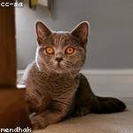 Amya Powlowski Profile Picture