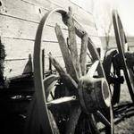 Marian Zemlak Profile Picture