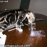 Hallie Walter Profile Picture