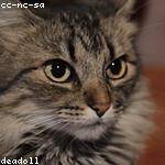 Roger Carter Profile Picture