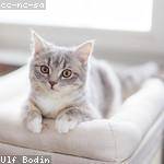 Elva Beier Profile Picture