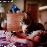 Hollis Thiel Profile Picture