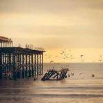 Deonte Spinka Profile Picture