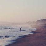 Alexander Hauck Profile Picture