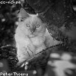 Christina Schmidt Profile Picture