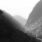 Herbert Grant Profile Picture