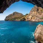 Shanny Rosenbaum Profile Picture