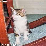 Kirk Rath Profile Picture