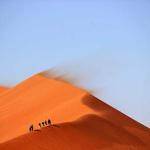 Millie Konopelski Profile Picture