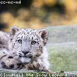 Johathan Howe Profile Picture