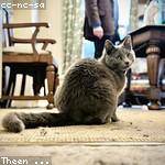 Abelardo Walter Profile Picture