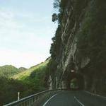 Seamus Fadel Profile Picture