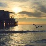 Edwardo Ondricka Profile Picture