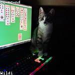 Nakia Considine Profile Picture