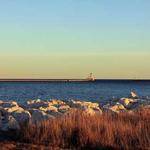 Dax Haley Profile Picture