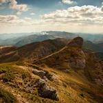 Annamarie Littel Profile Picture