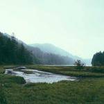 Lindsay Stamm Profile Picture