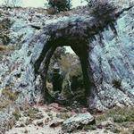 Craig Lesch Profile Picture