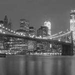 Libby Torphy Profile Picture