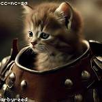 Kaden Dickens Profile Picture